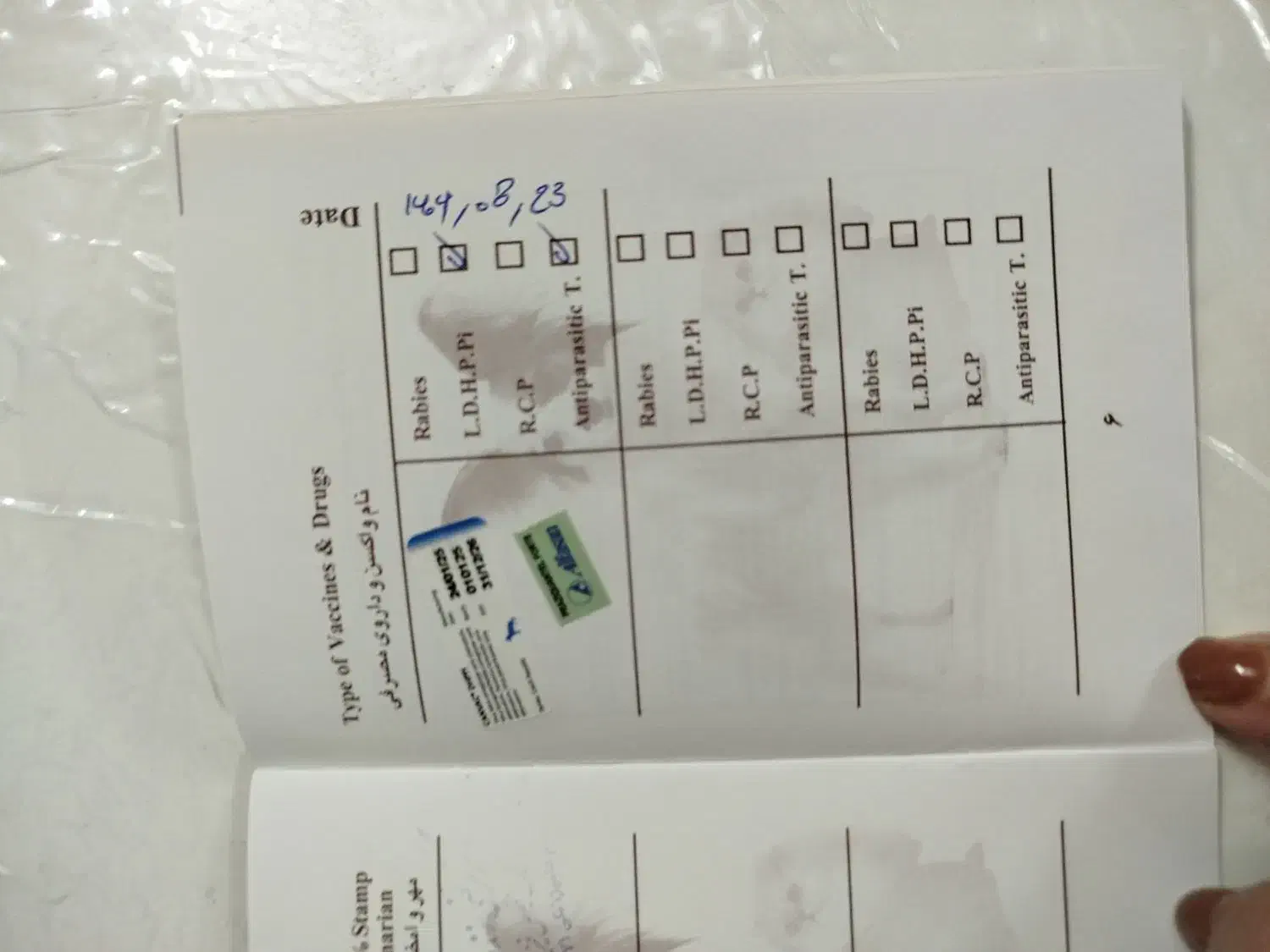 سگ سه ماه .|سگ|ری, دیلمان|دیوار