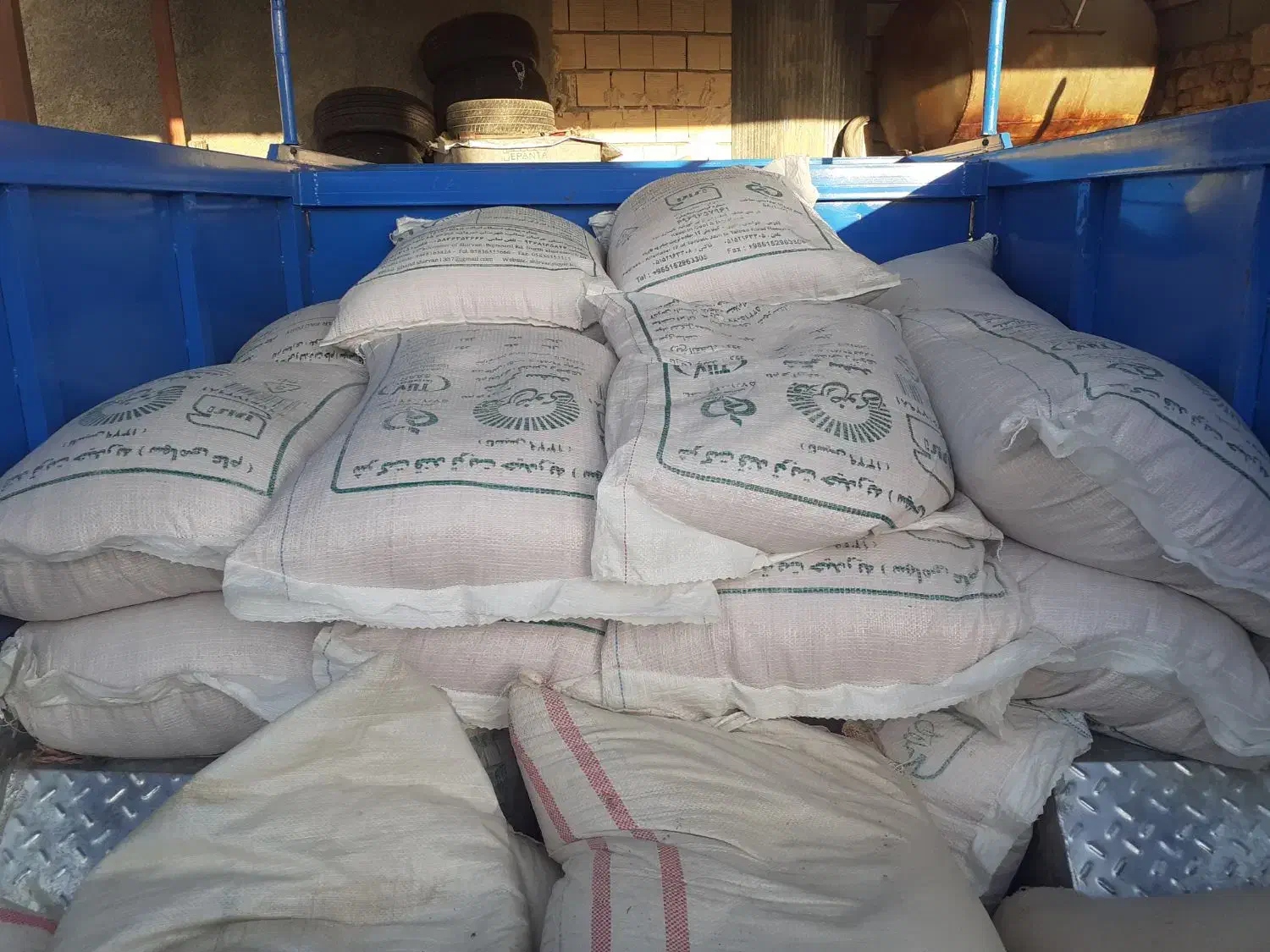 بز گندم آبی و دیم|خدمات باغبانی و درختکاری|دینور, |دیوار