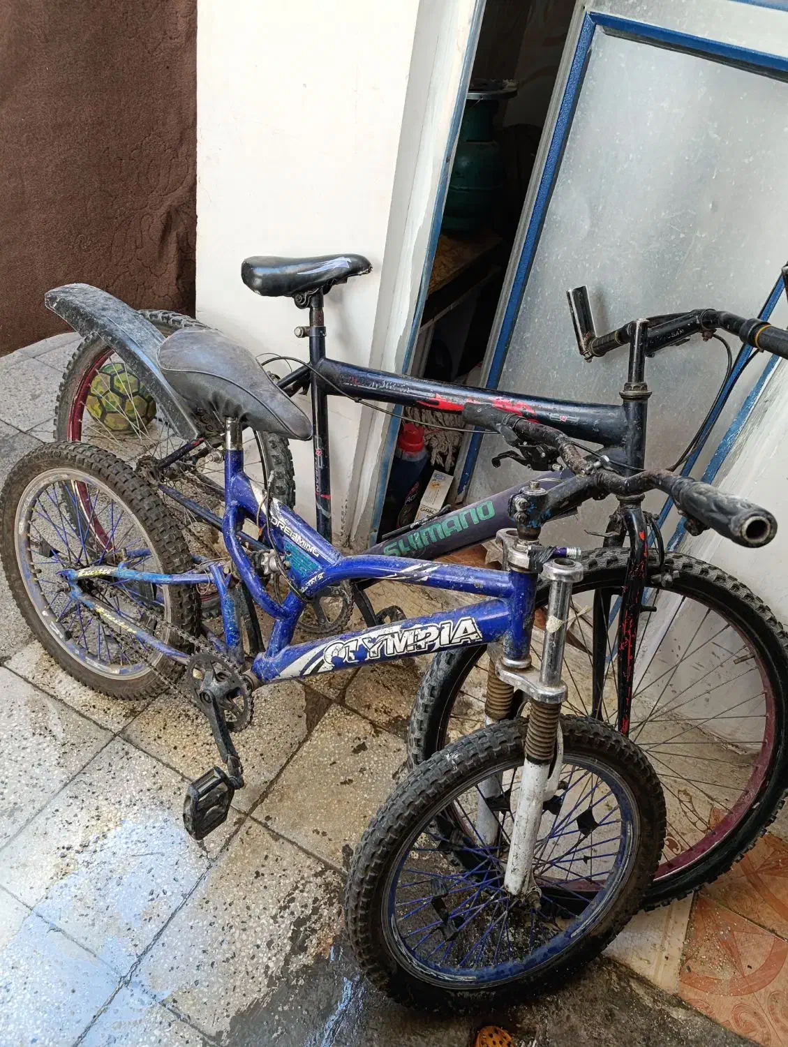 دوچرخه 20|دوچرخه، اسکیت، اسکوتر|قم, ولیعصر|دیوار