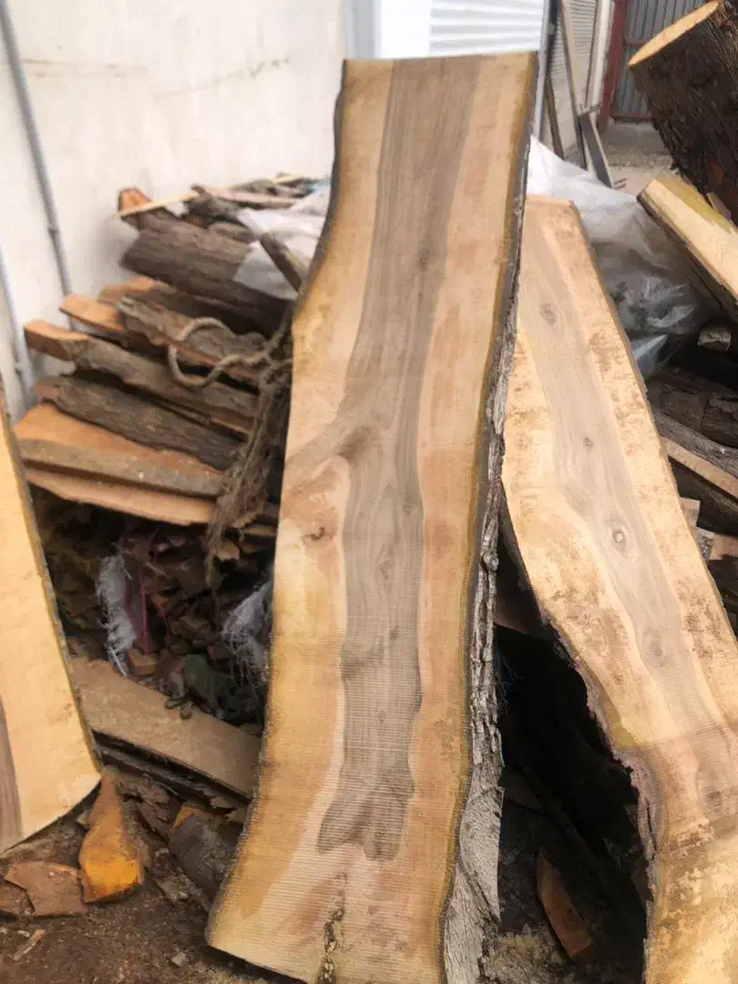 استخدام نیرو ساده یا نیمه ماهر خانوم یا آقا|استخدام صنعتی، فنی، مهندسی|بندرعباس, |دیوار