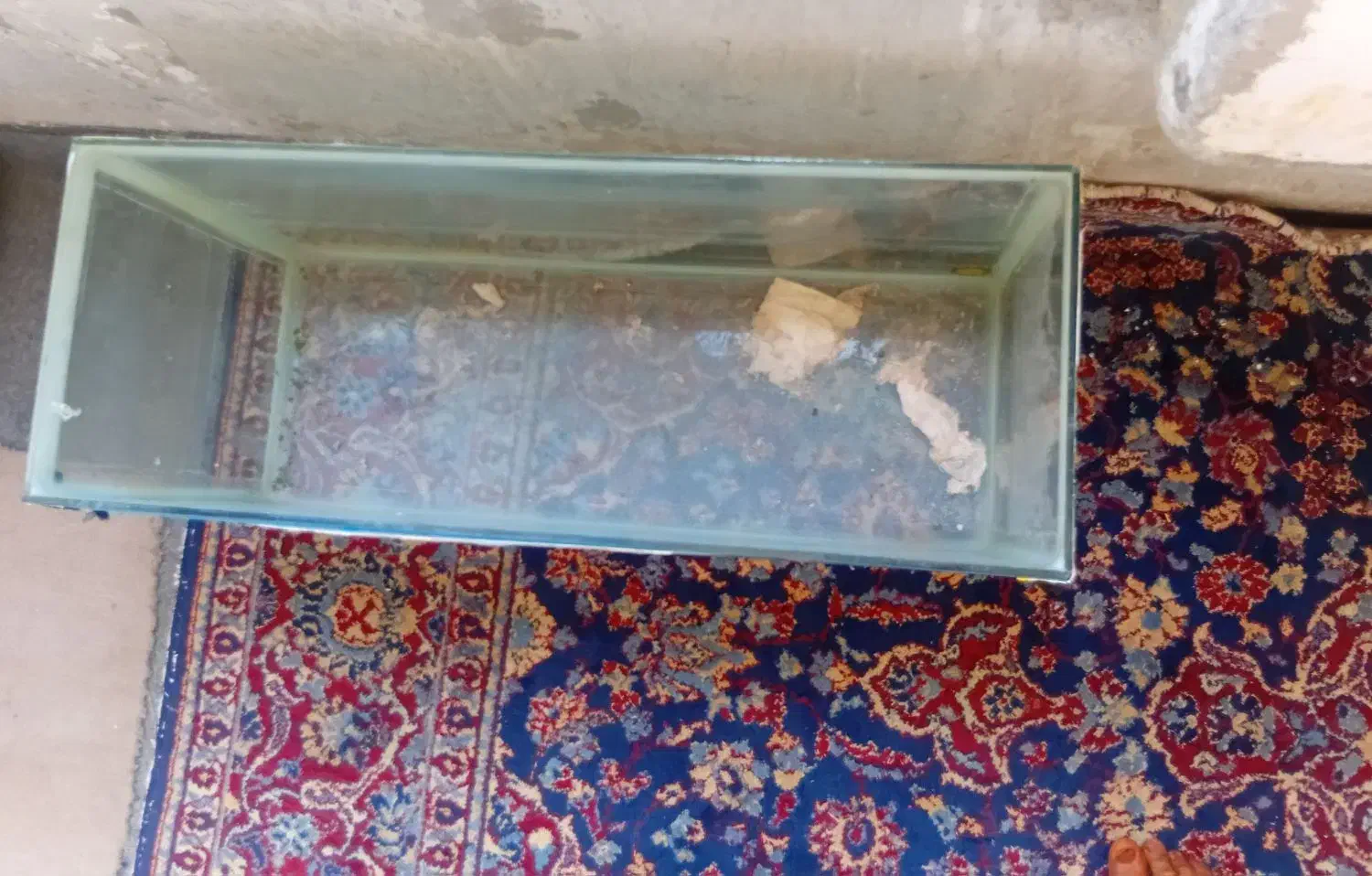 آکواریوم|ماهی|فولادشهر, B1|دیوار