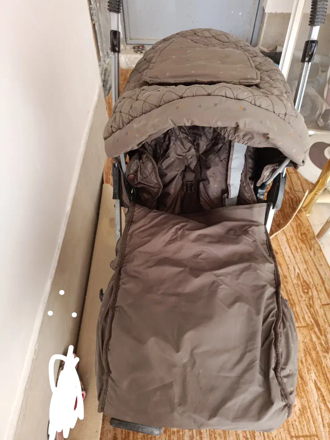 کالسکه دلیجان|کالسکه و لوازم جانبی|پیشوا, |دیوار