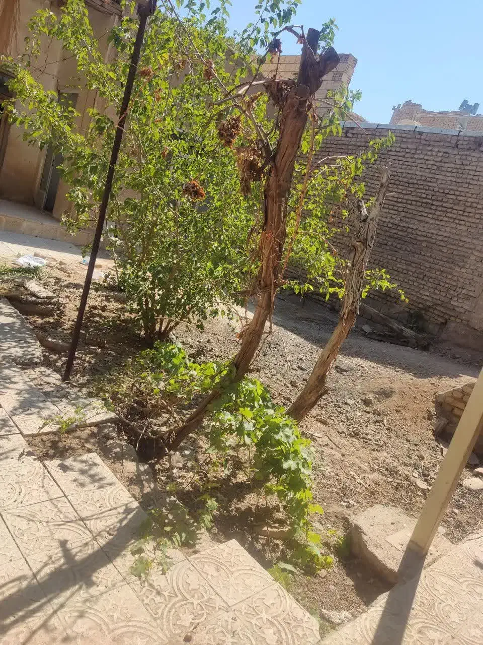 منزل قدیمی هویه|فروش زمین و ملک کلنگی|ابریشم, |دیوار