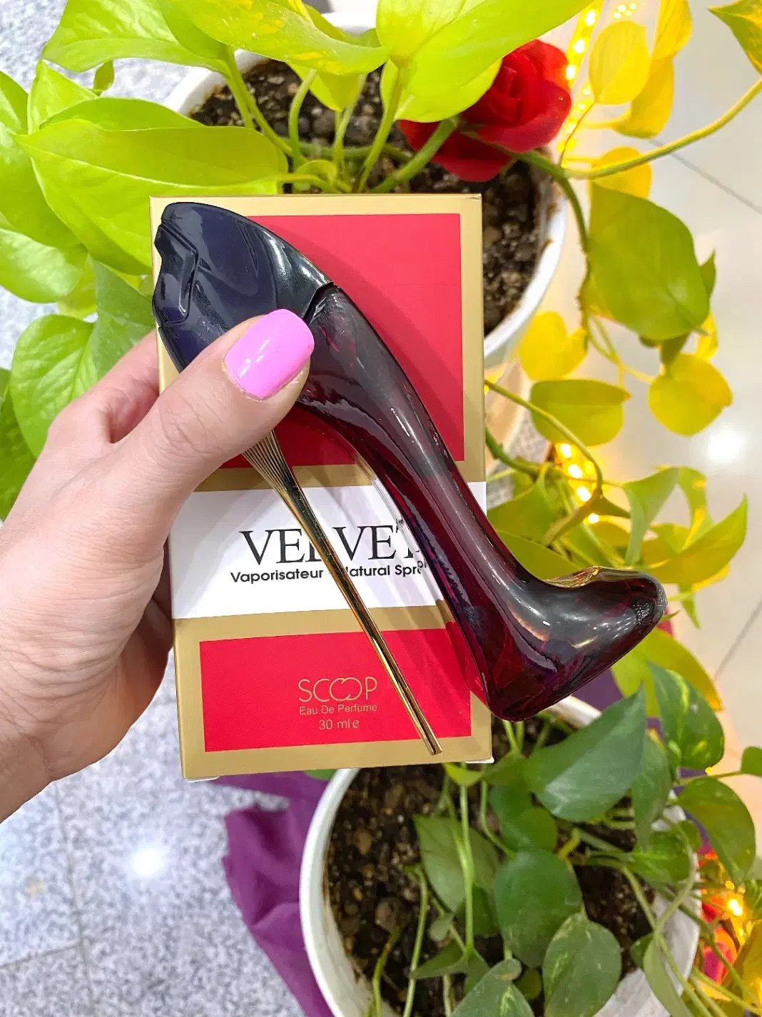 گودگرل ولوت|آرایشی، بهداشتی، درمانی|ساری, |دیوار