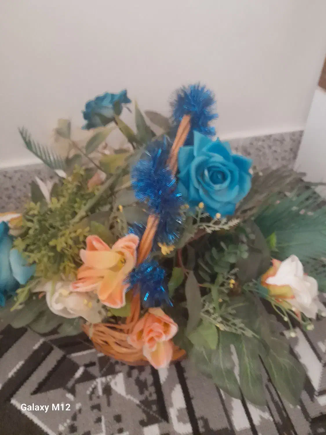 سبدگل|گل و گیاه طبیعی|شیروان (خراسان), |دیوار