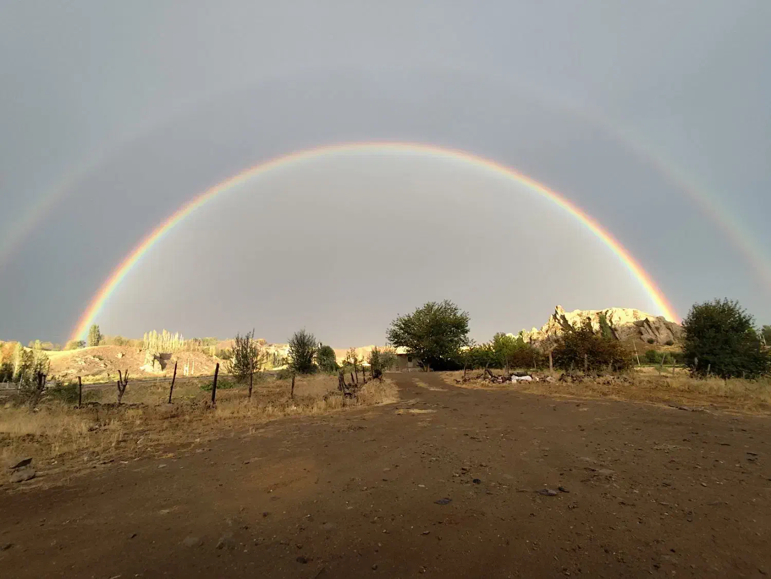 سرویس پیش دبستانی|خدمات حمل و نقل|میانه, |دیوار