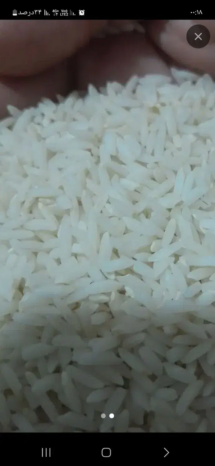 برنج درجه یک دورود|عمده‌فروشی|سیلاخور, |دیوار