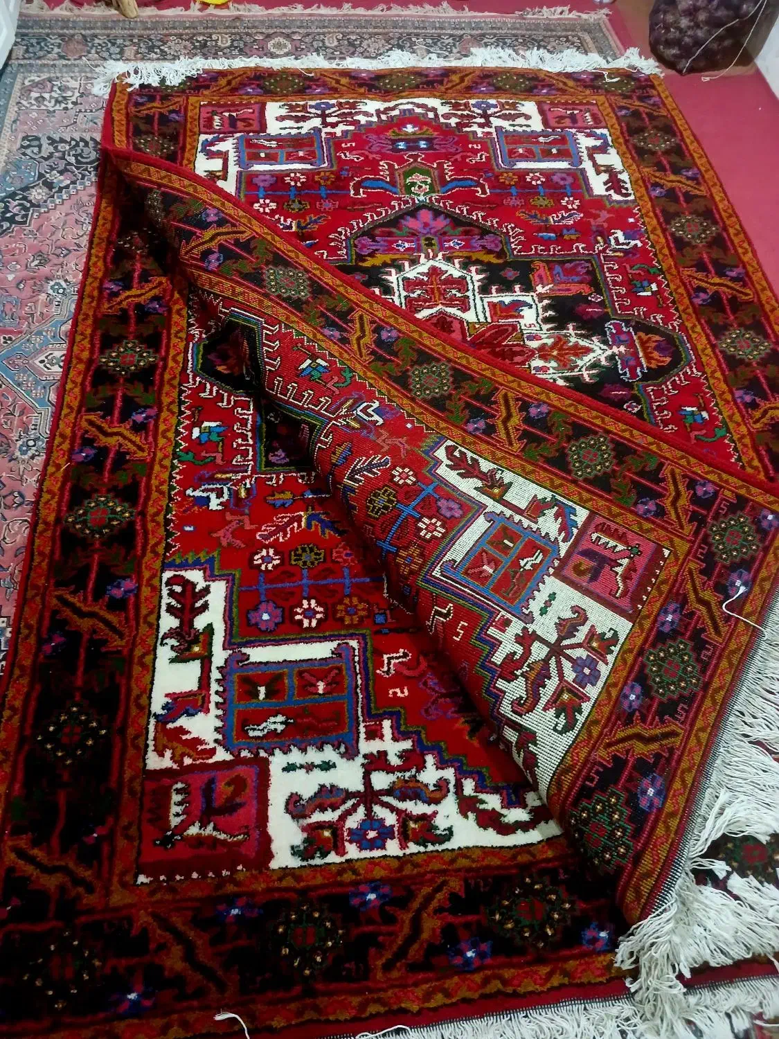فرش ۶ متری جفت تاجری تازه نونو قیچی بیچیم|فرش|تبریز, |دیوار