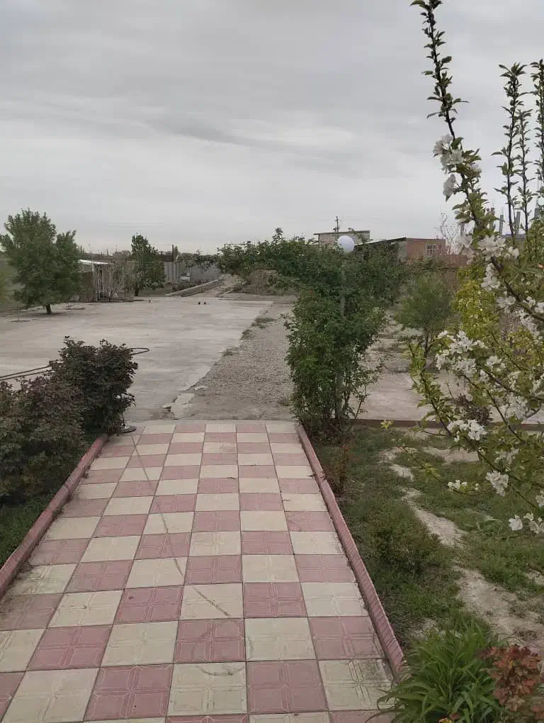 فروش خانه باغ وزمین تجاری مشاوراملاک باستانی|فروش خانه و ویلا|ملکان, |دیوار