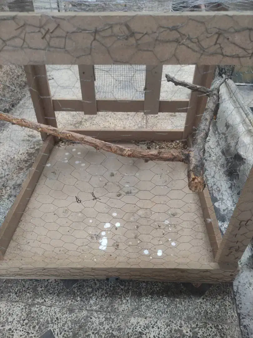 قفس پرنده|لوازم جانبی حیوانات|باغ ملک, |دیوار