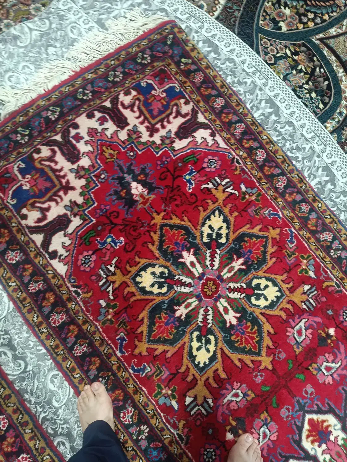 فرش دستبافت کناره هریز دستبافت|فرش|اردبیل, |دیوار