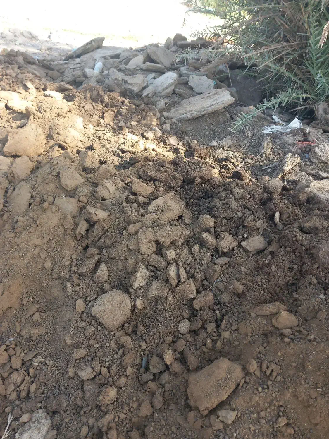 کود گاو گوسفند قاطی|لوازم جانبی حیوانات|جیرفت, |دیوار