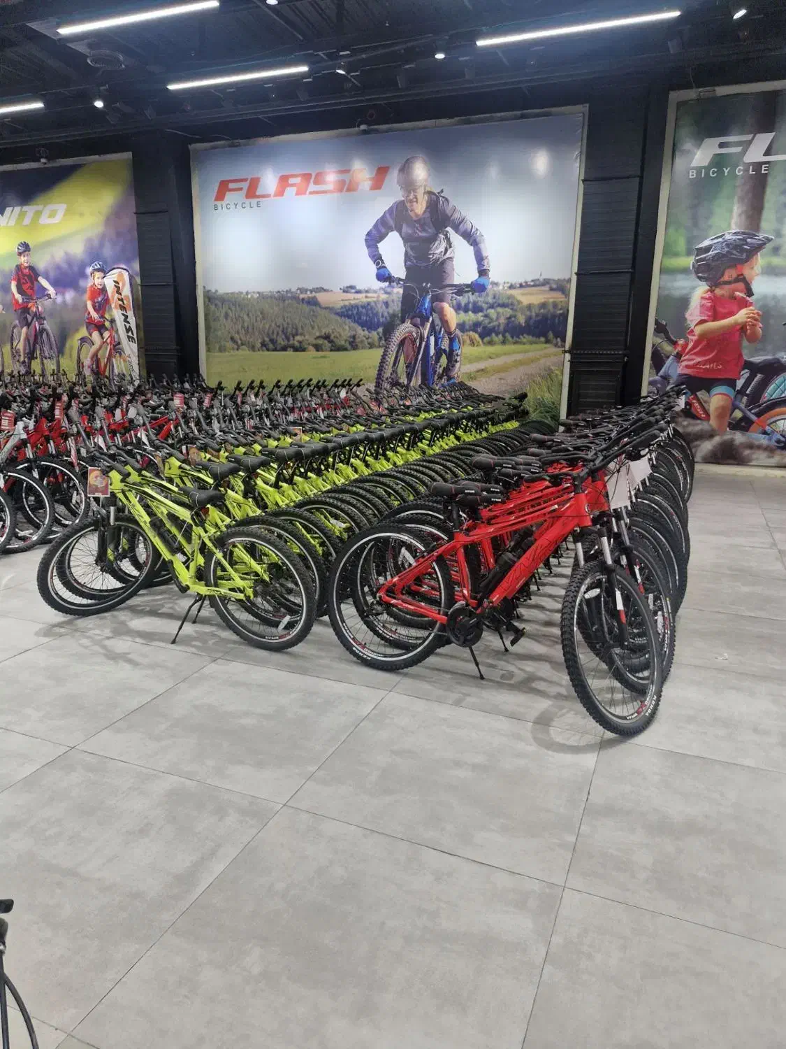 دوچرخه دنده ای / ترمز دیسکی 20|دوچرخه، اسکیت، اسکوتر|کرج, کیانمهر|دیوار