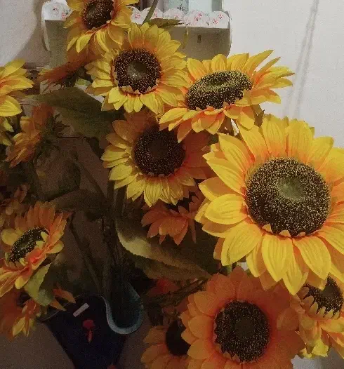 گل آفتابگردون و گل ارکیده|گل مصنوعی|رشت, کوی عرفان|دیوار