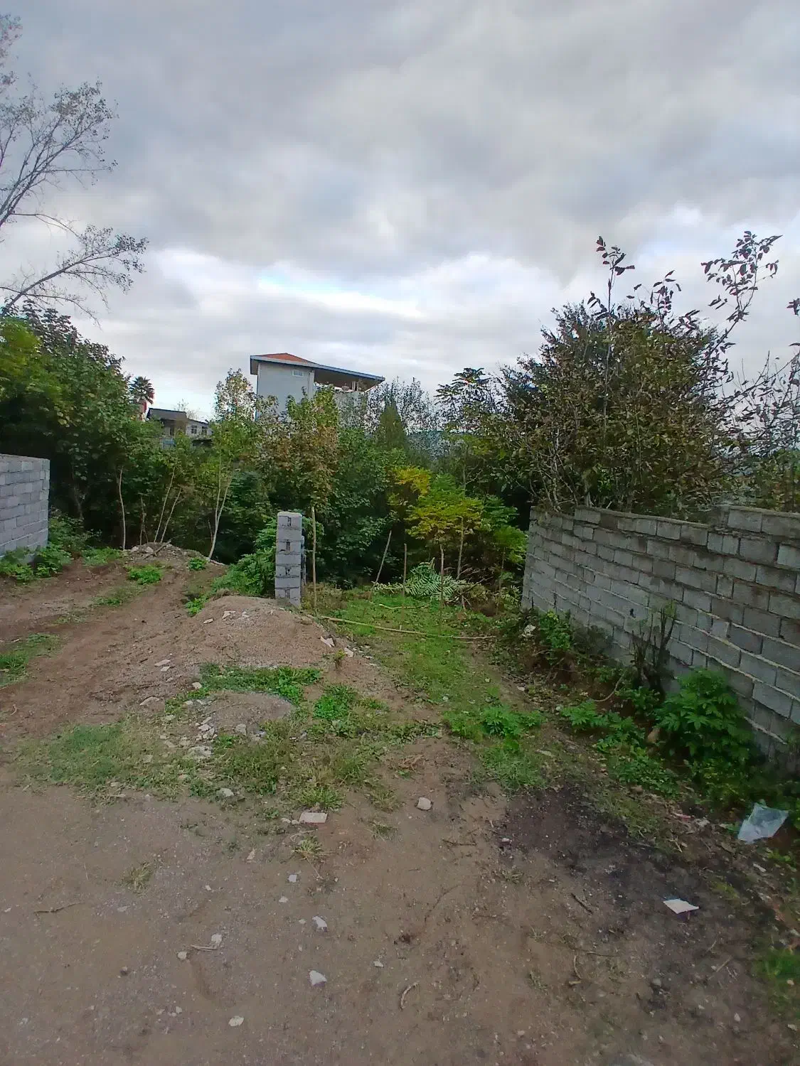 زمین مسکونی در ساری شهر هولار|فروش زمین و ملک کلنگی|پایین هولار, |دیوار