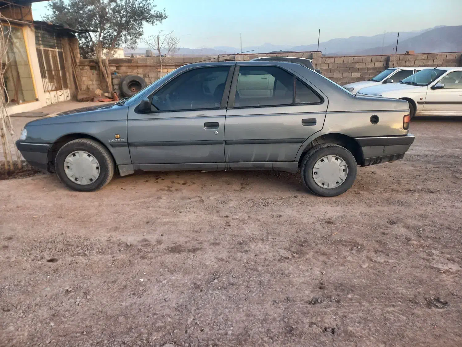 پژوه دوگانه سوز ۴۰۵ مدل ۹۳|خودرو سواری و وانت|لوشان, |دیوار