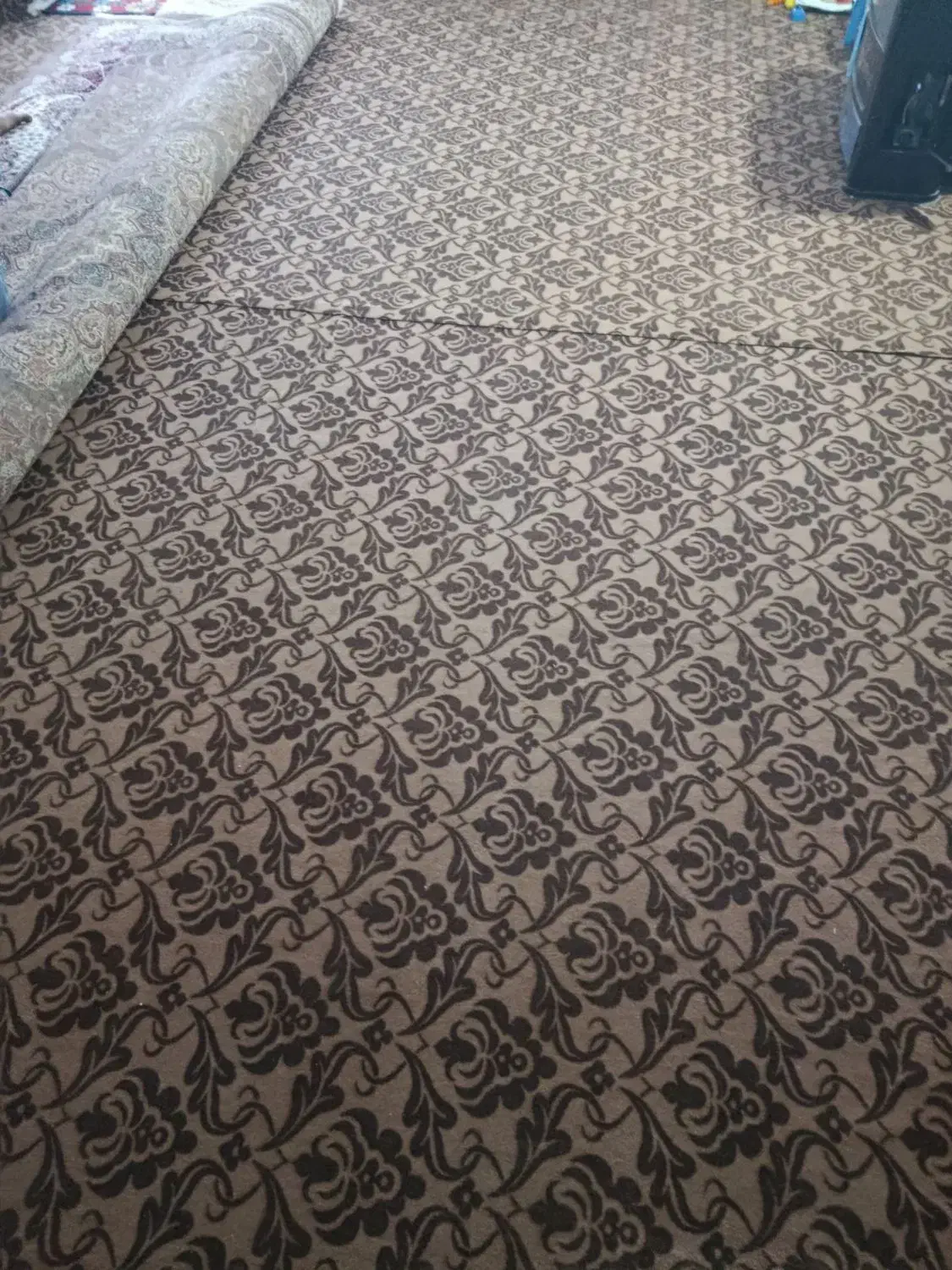 موکت در حد|موکت|دلند, |دیوار