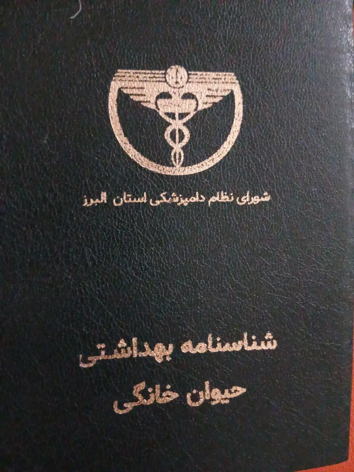 سگ پا کوتاه|سگ|کرج, فاز ۴ مهرشهر|دیوار