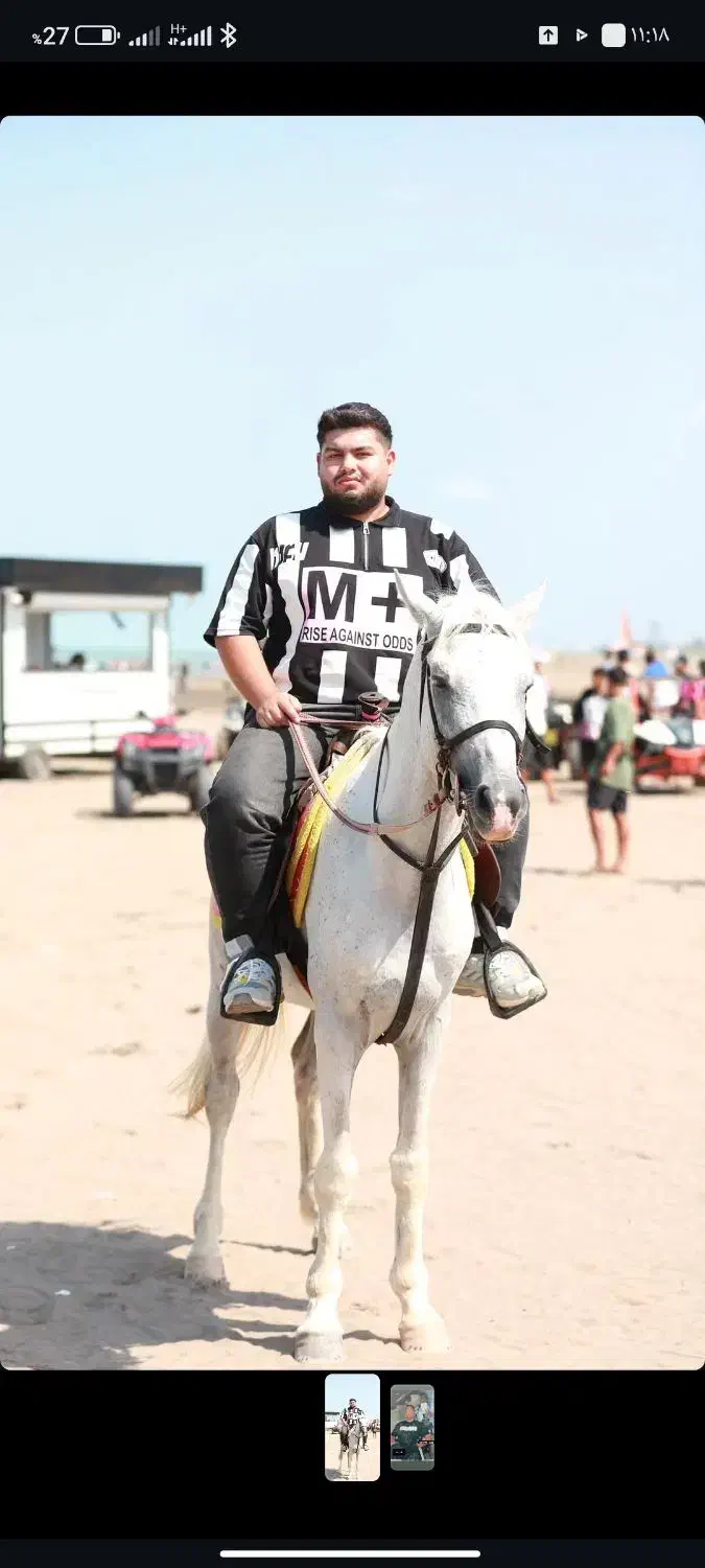 اسب|حیوانات|رباط‌کریم, شهرک صنعتی نصیرآباد|دیوار