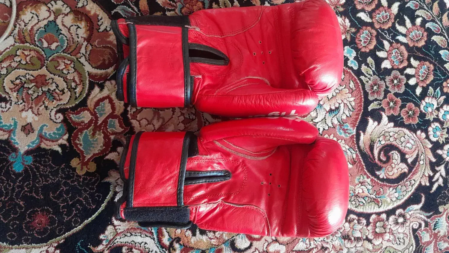 دستکش و کلاه بوکس حرفه ای|تجهیزات ورزشی|لردگان, |دیوار