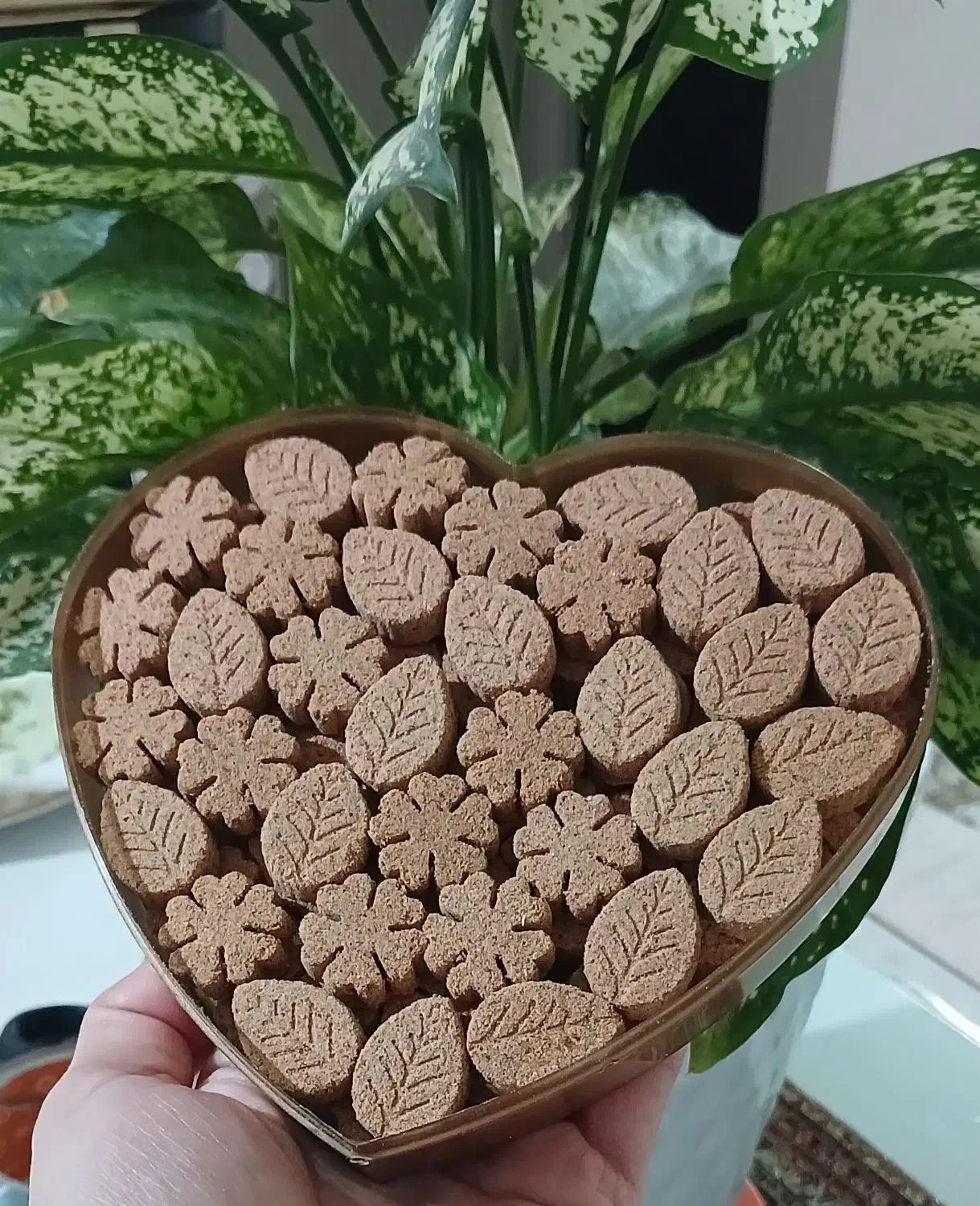 فروش انواع قند و نبات های گیاهی، فانتزی و رژیمی|خوردنی و آشامیدنی|شیراز, فاضل|دیوار