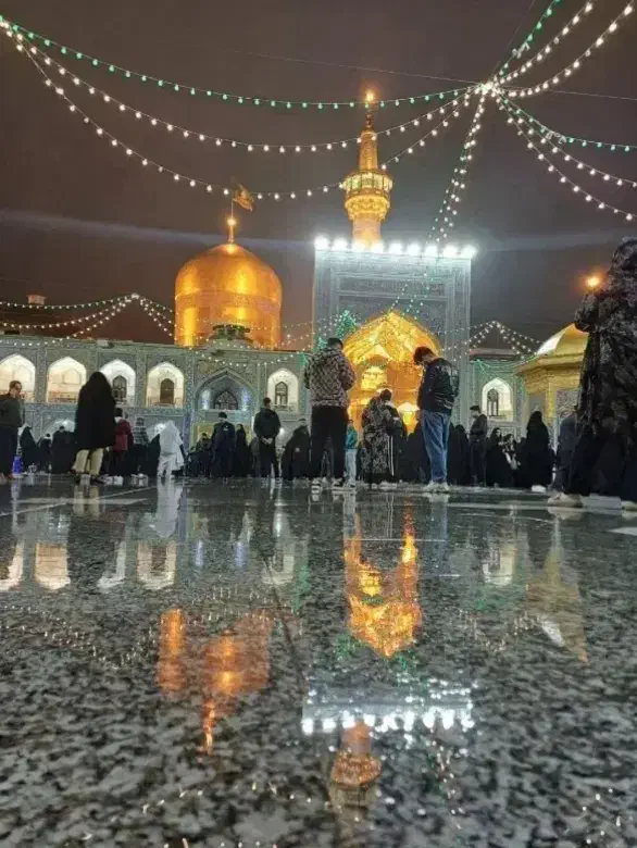 مشهد مقدس . هوایی .قطار.اتوبوس|تور و چارتر|بوشهر, |دیوار