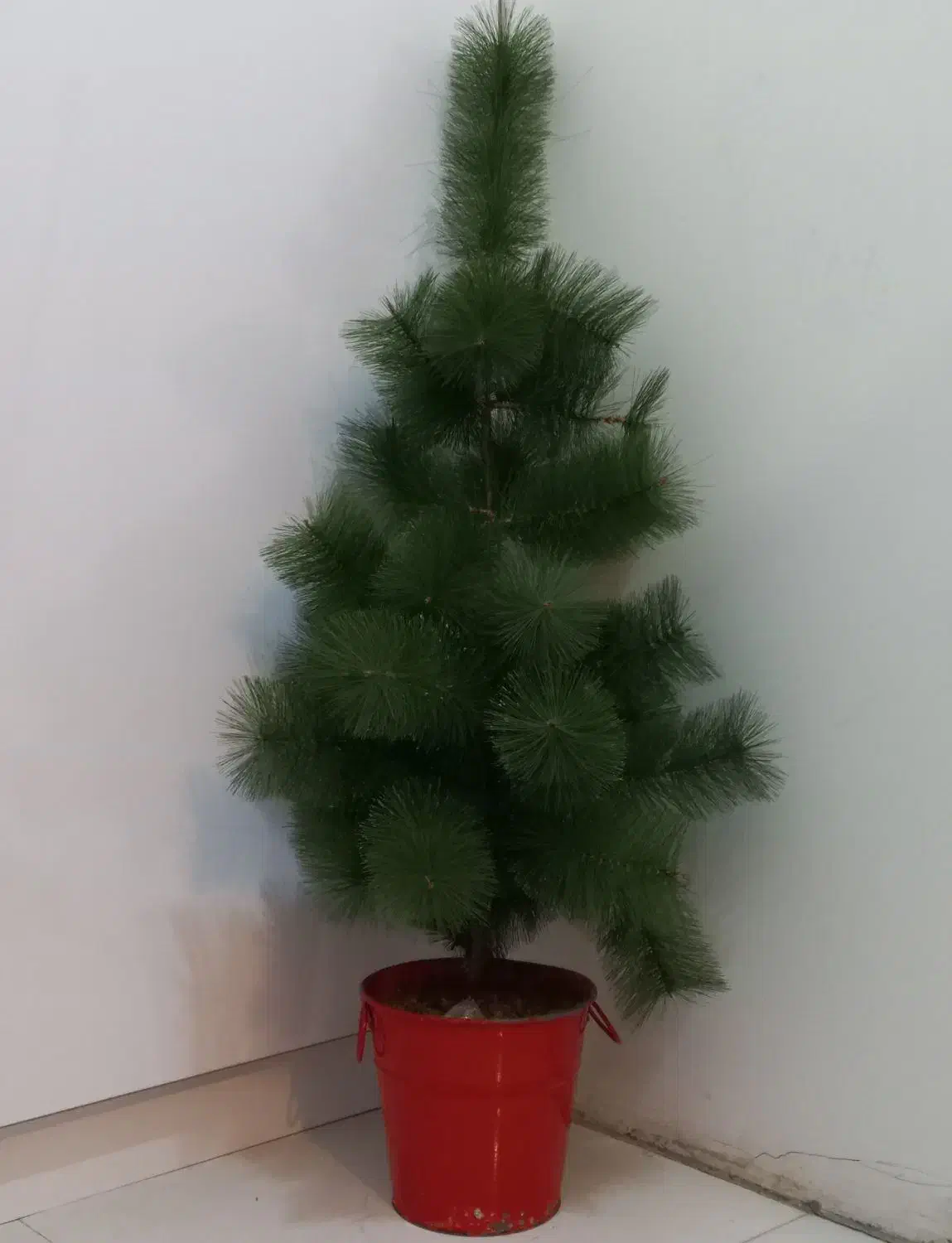 حراج درخت کاج پلاستیکی کریسمس باگلدان ۵۰۰ تومن|حراج|تهران, طیب|دیوار