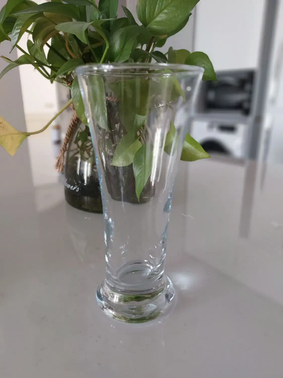 لیوان و استکان|ظروف سرو و پذیرایی|مرودشت, فرهنگ|دیوار