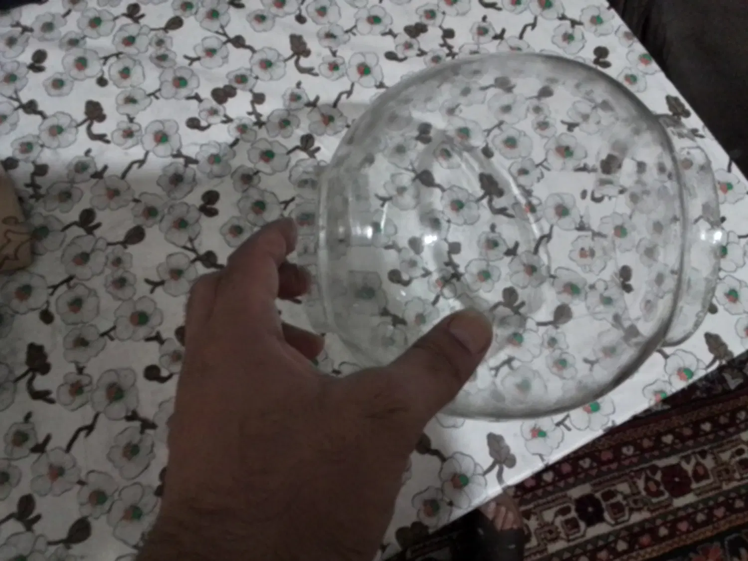 شیشه برای تراریوم پرورش کاکتوس|صنایع دستی و سایر لوازم تزئینی|تهران, امام زاده قاسم (نیاوران)|دیوار