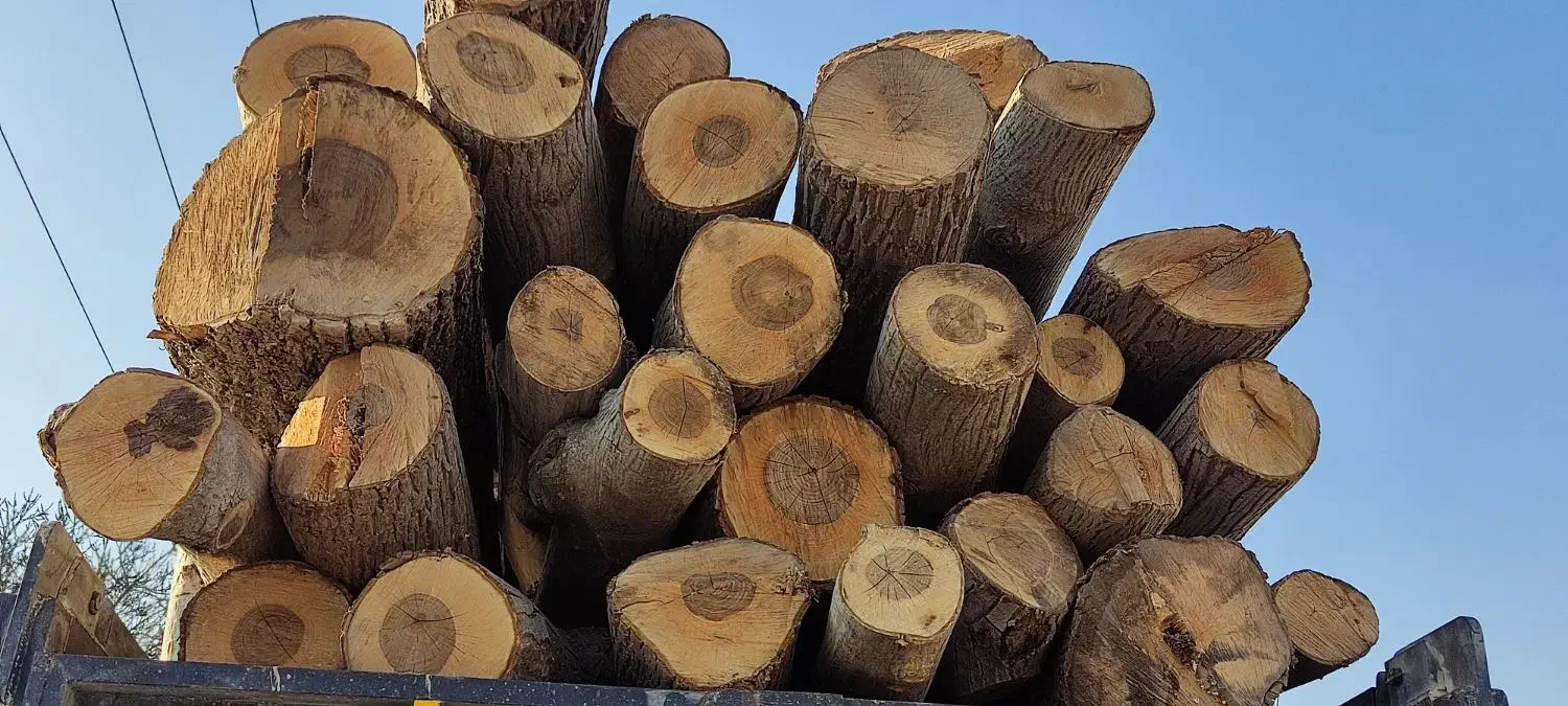 خرید و فروش انواع چوب های باغی|عمدهفروشی|بجنورد, |دیوار