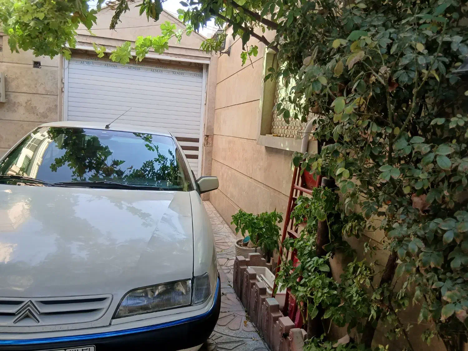 زانتیا۸۷|خودرو سواری و وانت|تهران, باغ فیض|دیوار