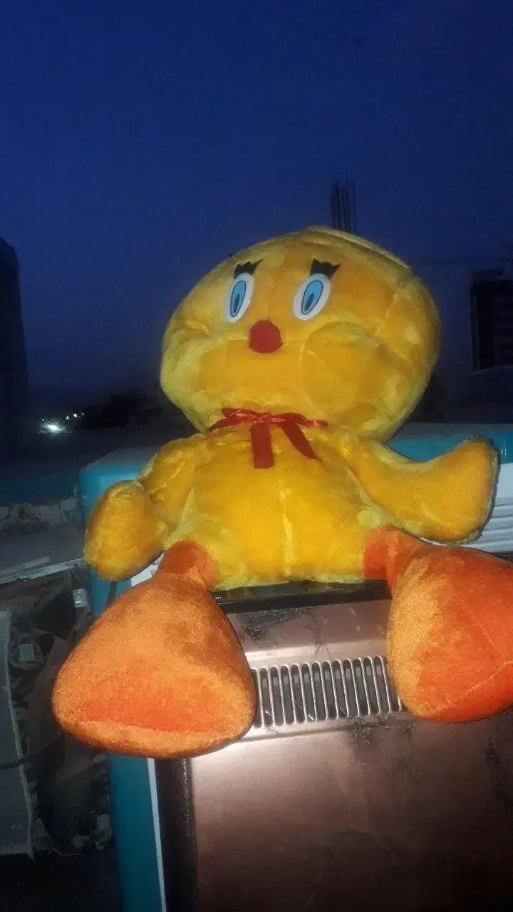 عروسک زیبا و نو|اسباب‌‌بازی|قزوین, |دیوار