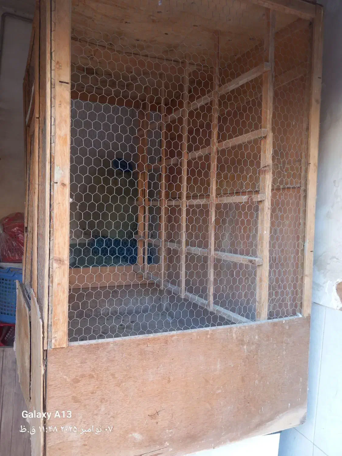 کبوتر|لوازم جانبی حیوانات|نسیمشهر, |دیوار