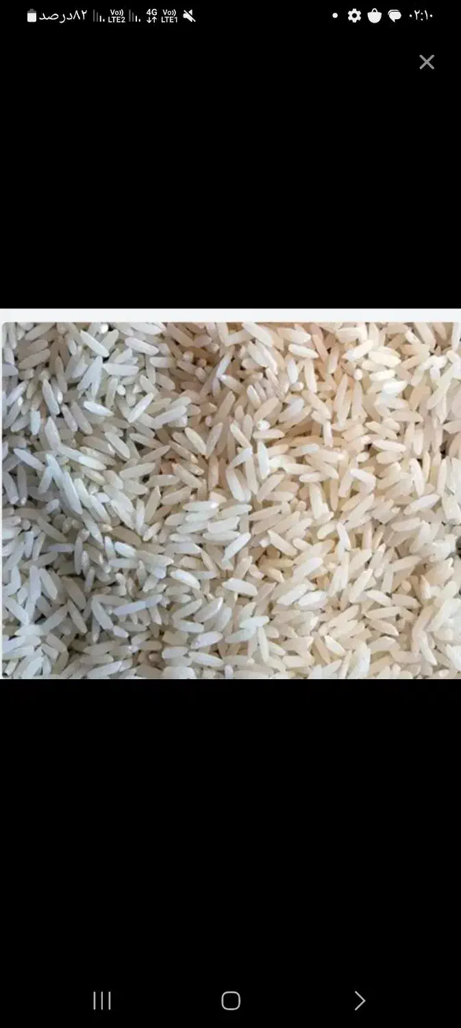 پیش فروش برنج|خوردنی و آشامیدنی|دورود, |دیوار