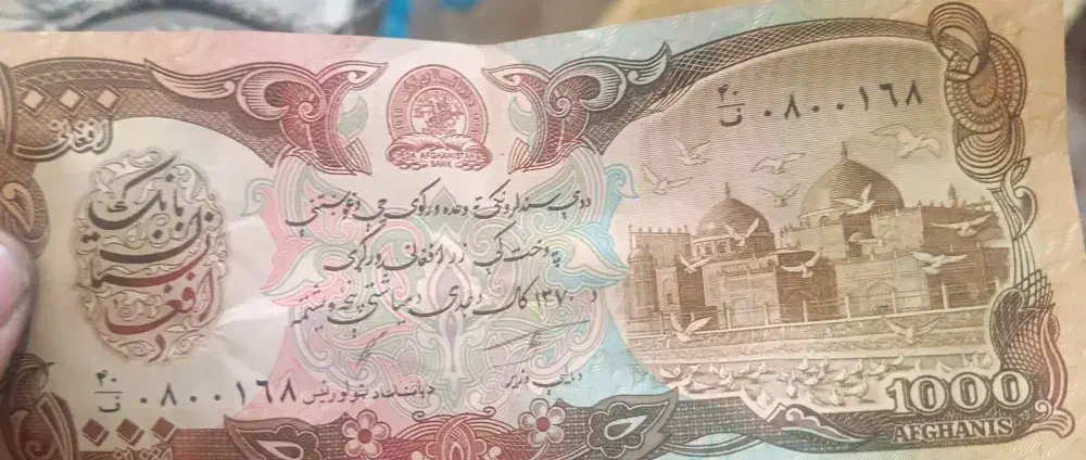 پول ا|کلکسیون و سرگرمی|قم, شاه ابراهیم|دیوار