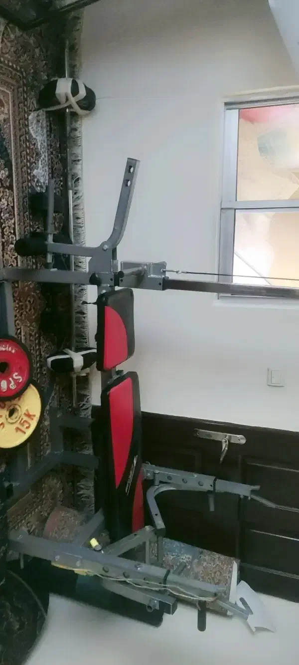 دستگاه چندکاره همراه با صدکیلووزنه|تجهیزات ورزشی|رویان, |دیوار