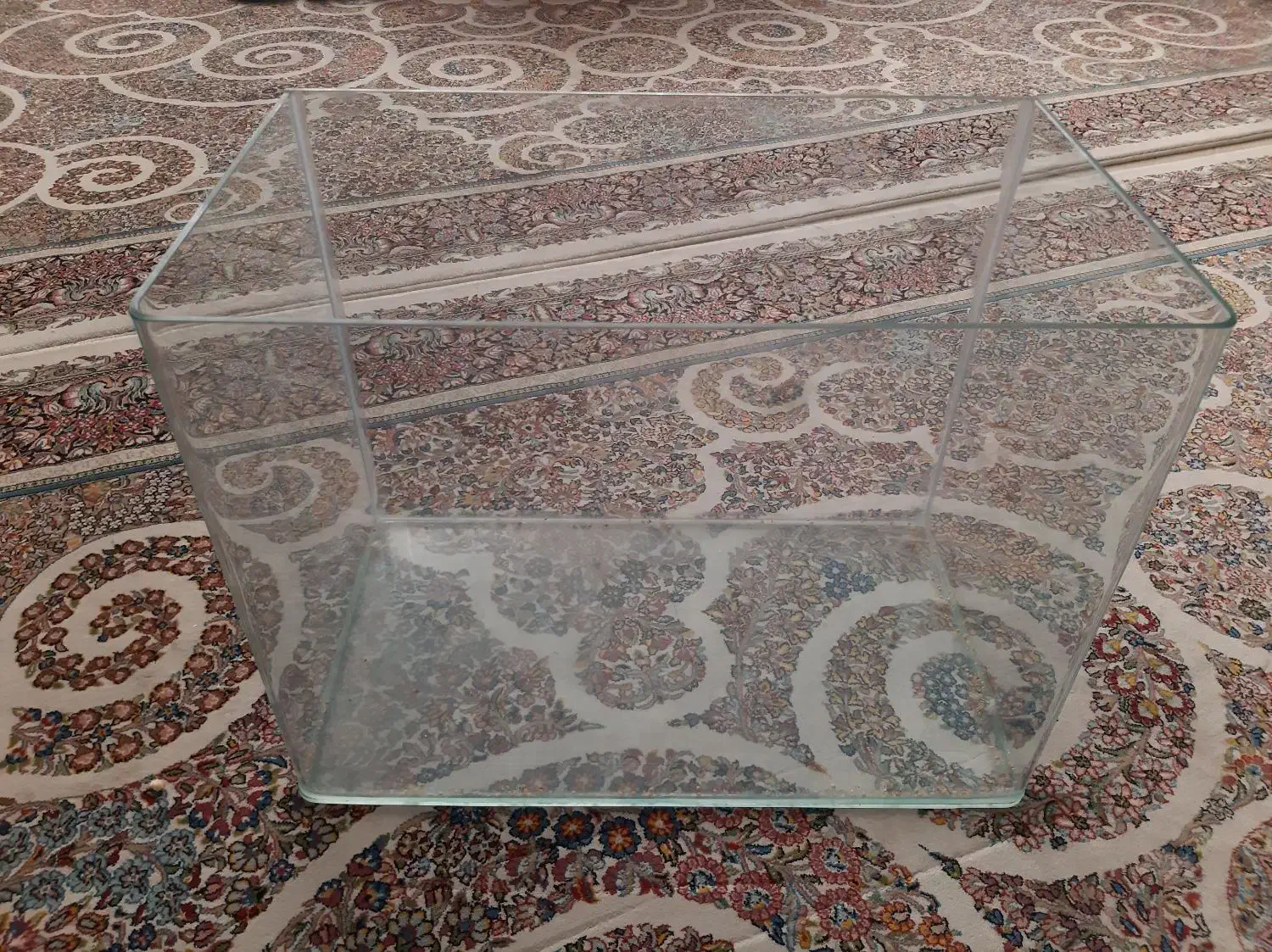 آکواریوم|ماهی|مشهد, مشکینی (شهرک غرب)|دیوار