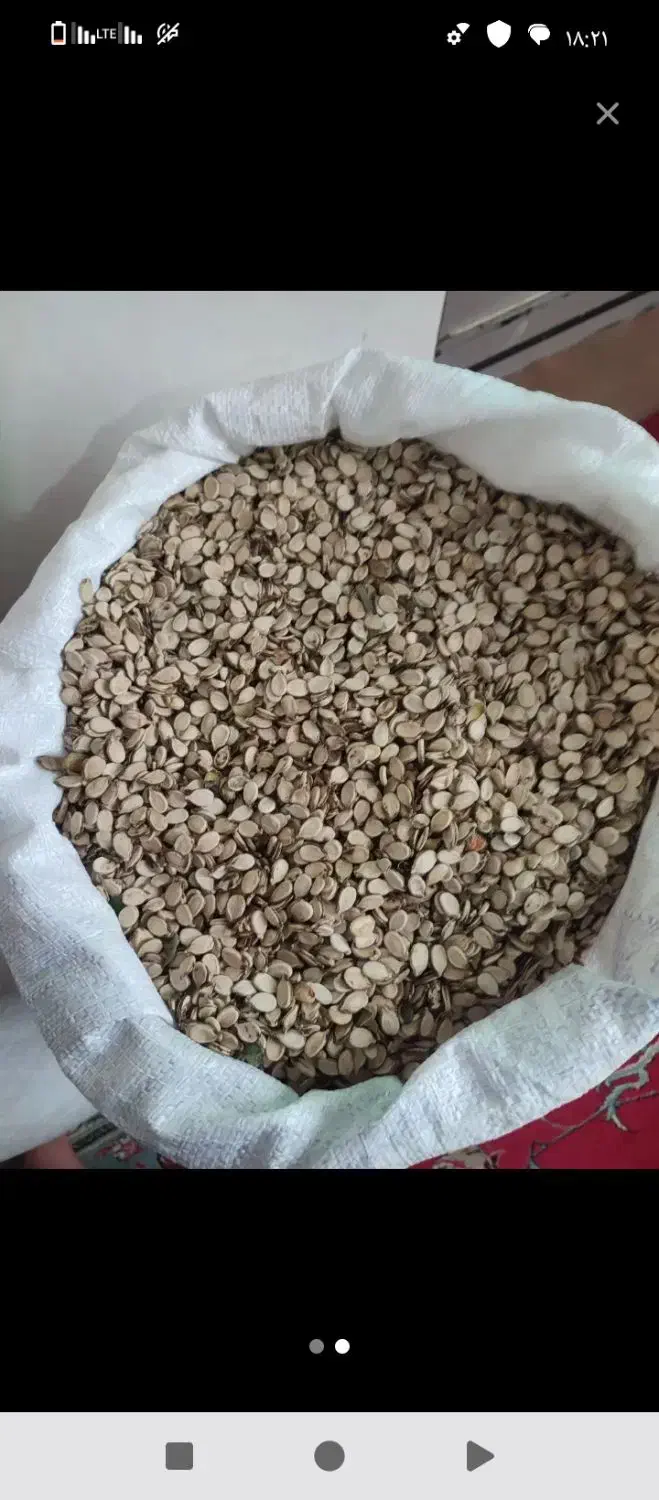 تخمه هندوانه|خوردنی و آشامیدنی|سنگدوین, |دیوار