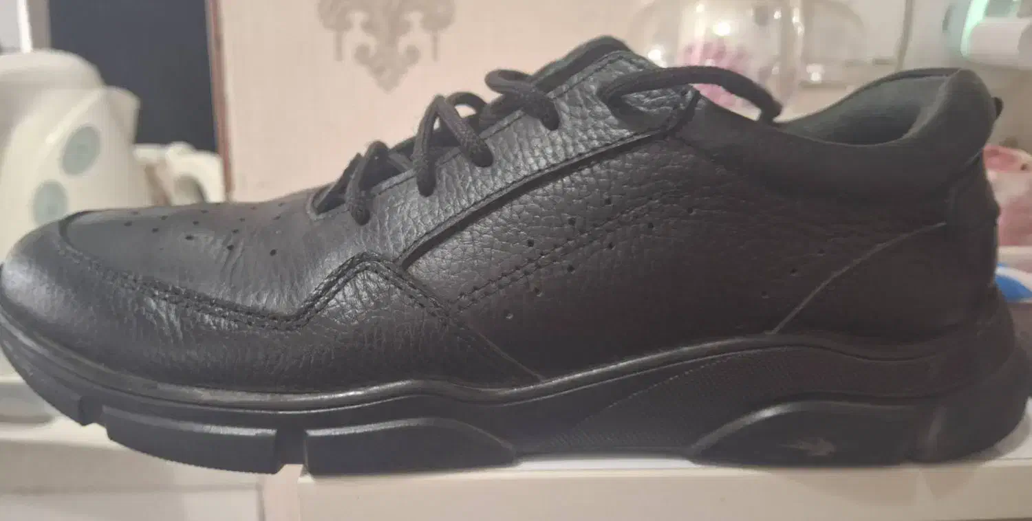 کتانی چرم اصل|کیف، کفش، کمربند|بندر انزلی, پردیس|دیوار