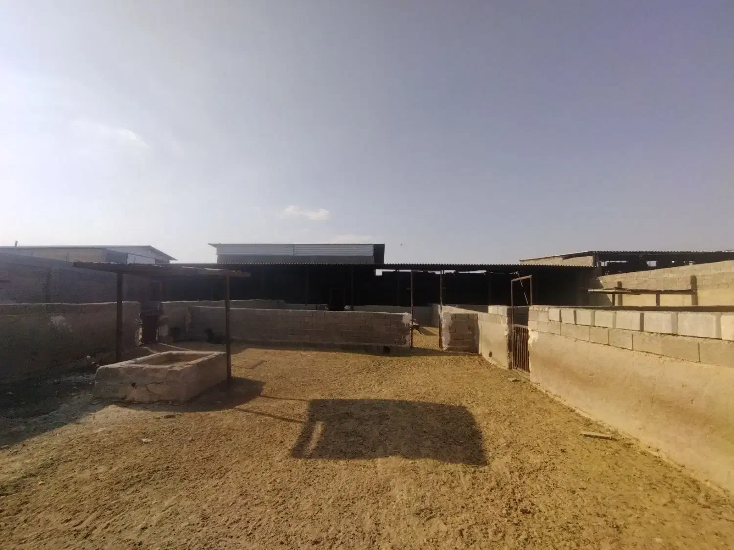 فروش دامداری ۱۵۰۰ متری در صغاد|فروش دفتر صنعتی، کشاورزی، تجاری|فسا, |دیوار