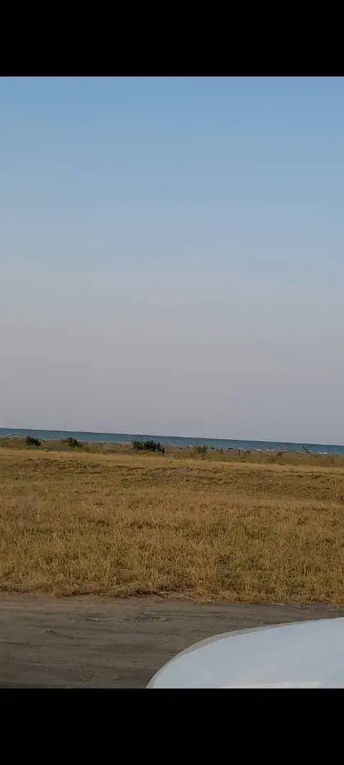 مشارکت ،سرمایه ازما،زمین هکتاری ازشما|مشارکت در ساخت املاک|اندیشه, شهرک مریم|دیوار