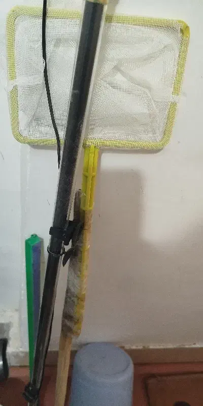 آکواریوم|ماهی|سقز, |دیوار