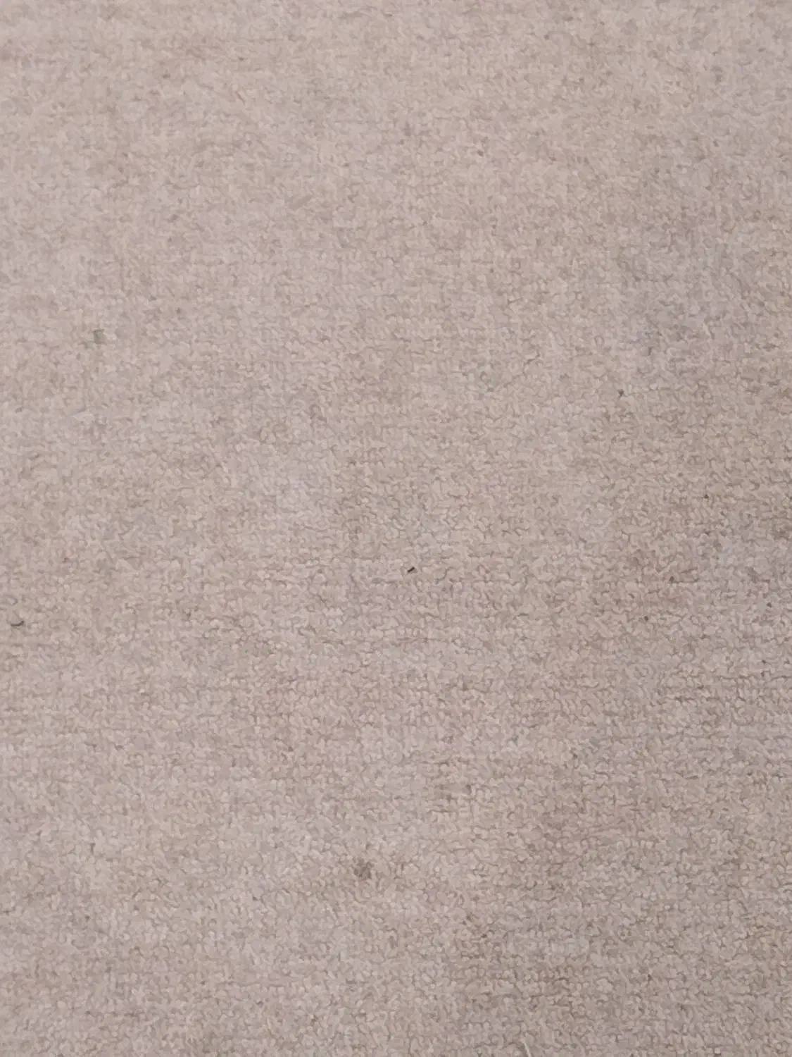 موکت خواب دار ۹متری|موکت|شیراز, شهرک عرفان|دیوار