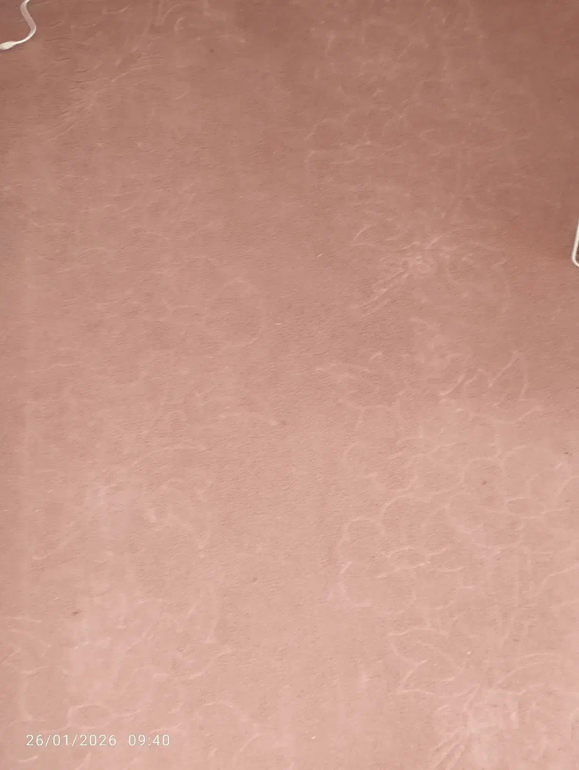 موکت 50 متر|موکت|تبریز, |دیوار