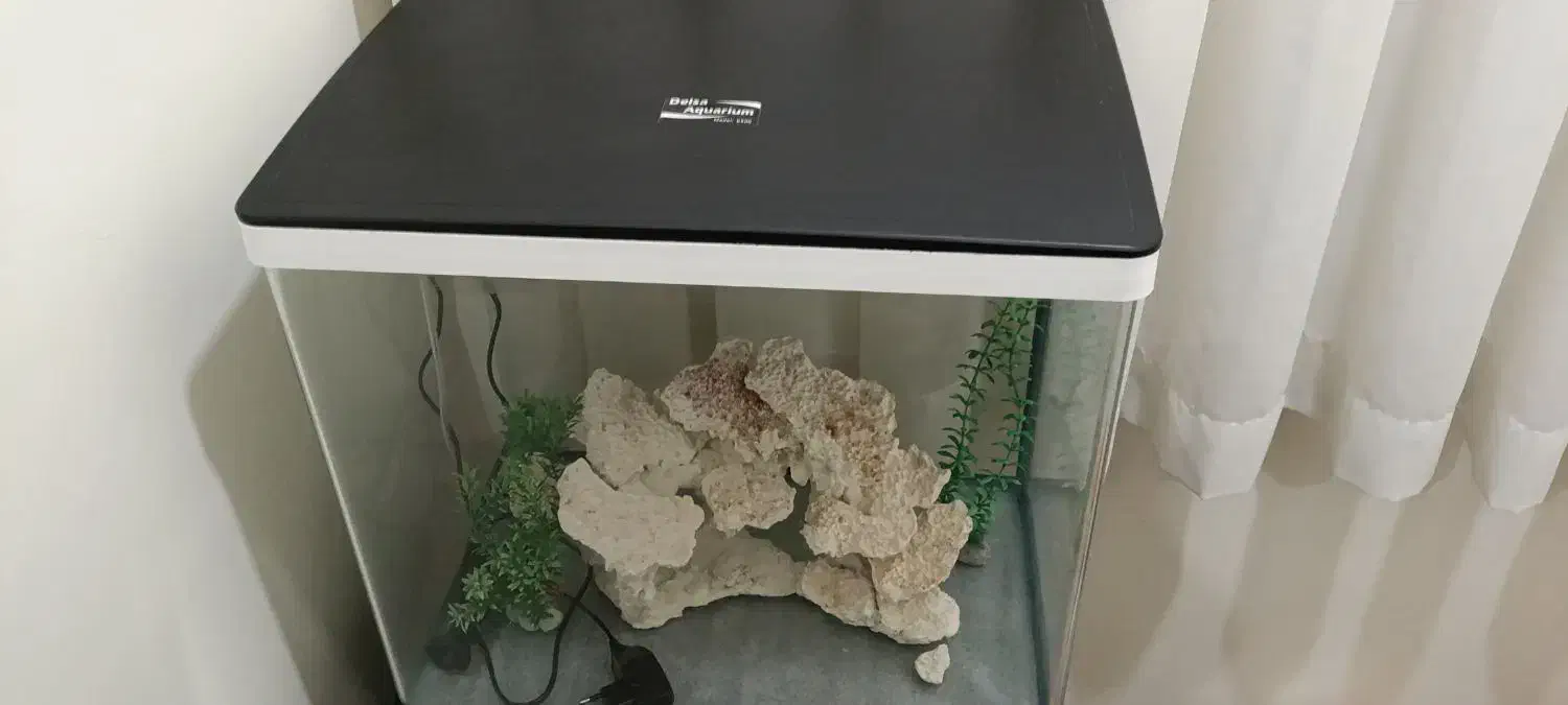 اکواریوم کامل با کمد،شیک نو.|ماهی|تهران, هفده شهریور|دیوار