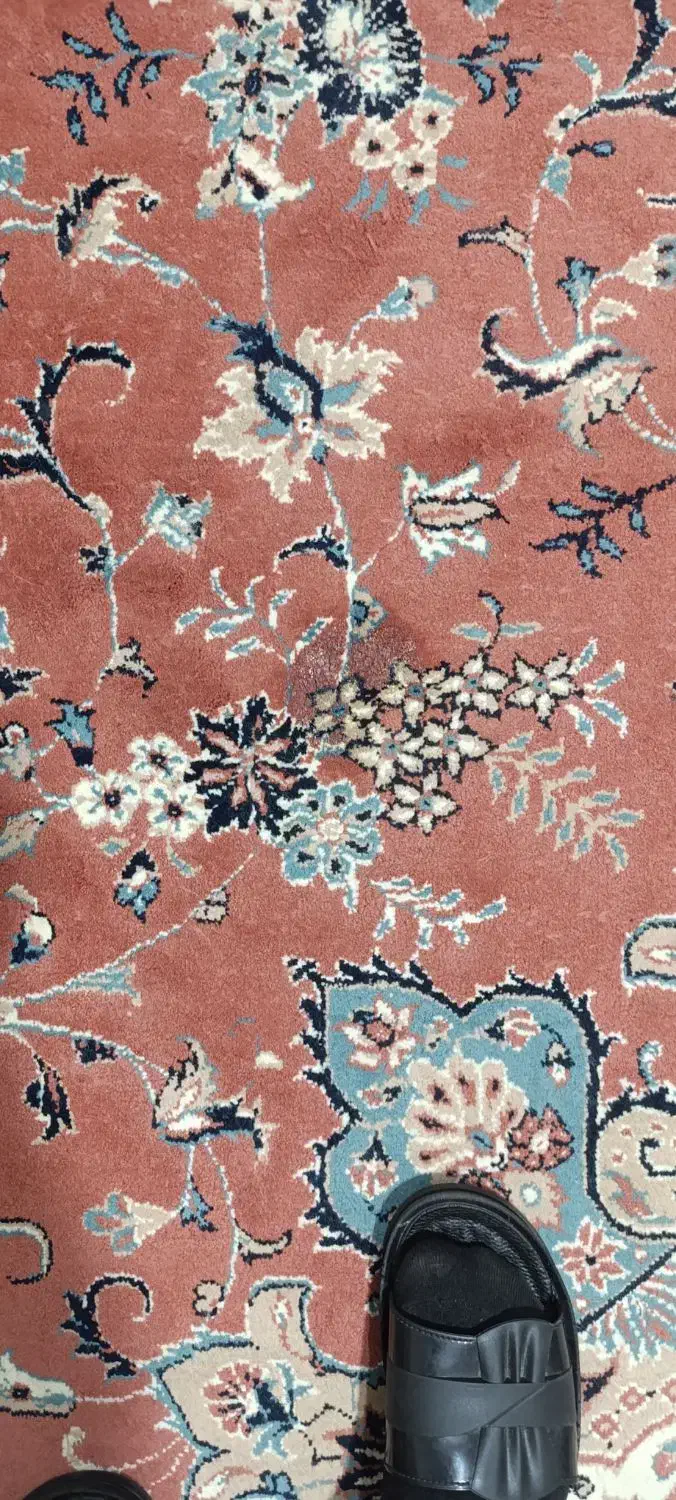 دو جفت فرش|فرش|زنجان, |دیوار