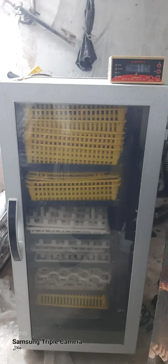 دستگاه جوجه کشی ققنوس و اسکندری|لوازم جانبی حیوانات|مشهد, ابوذر|دیوار