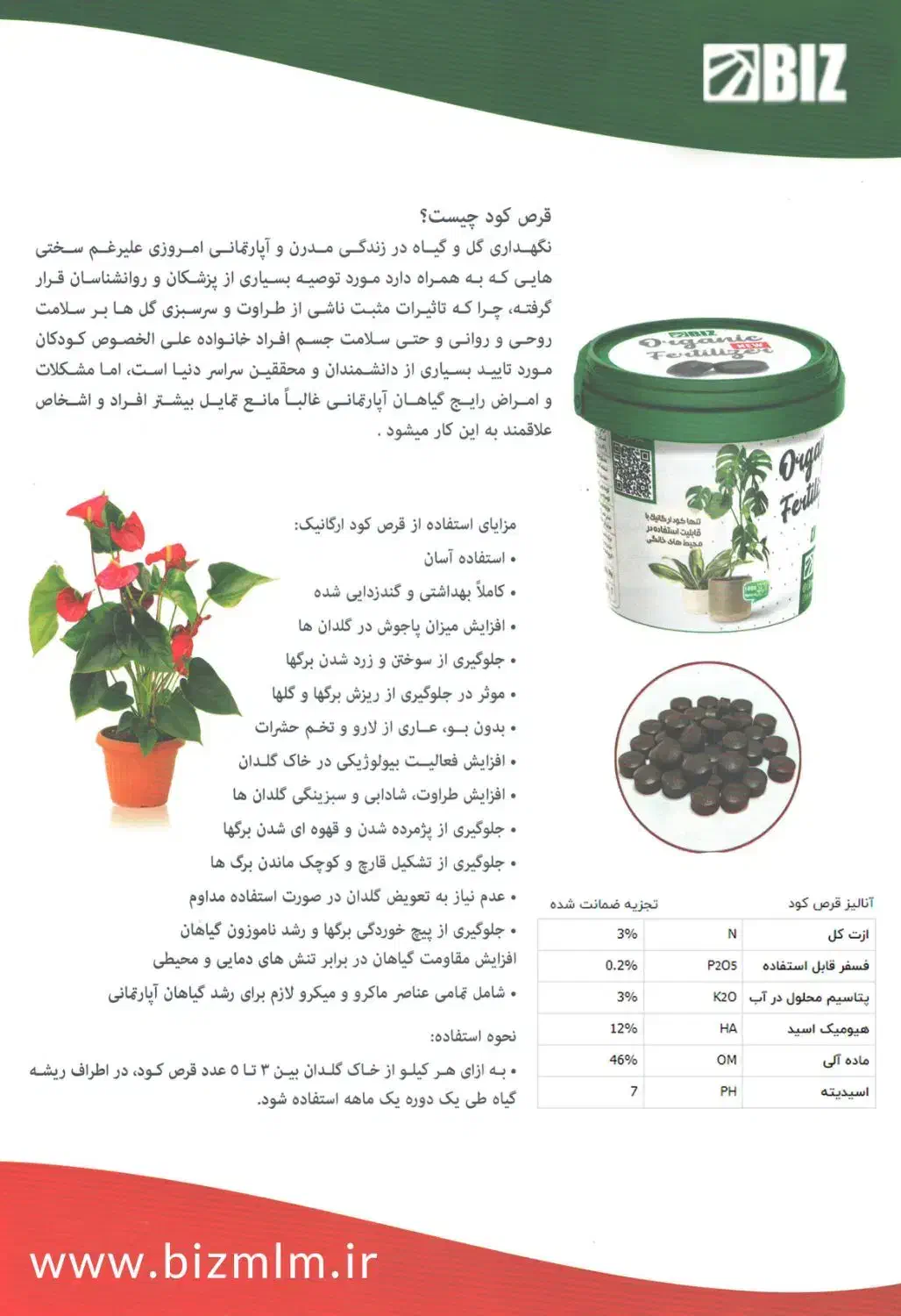 گیاهان آپارتمانی بارشد دوبرابر و شادابی وبا طراوت|گل و گیاه طبیعی|پاکدشت, خاتون آباد|دیوار