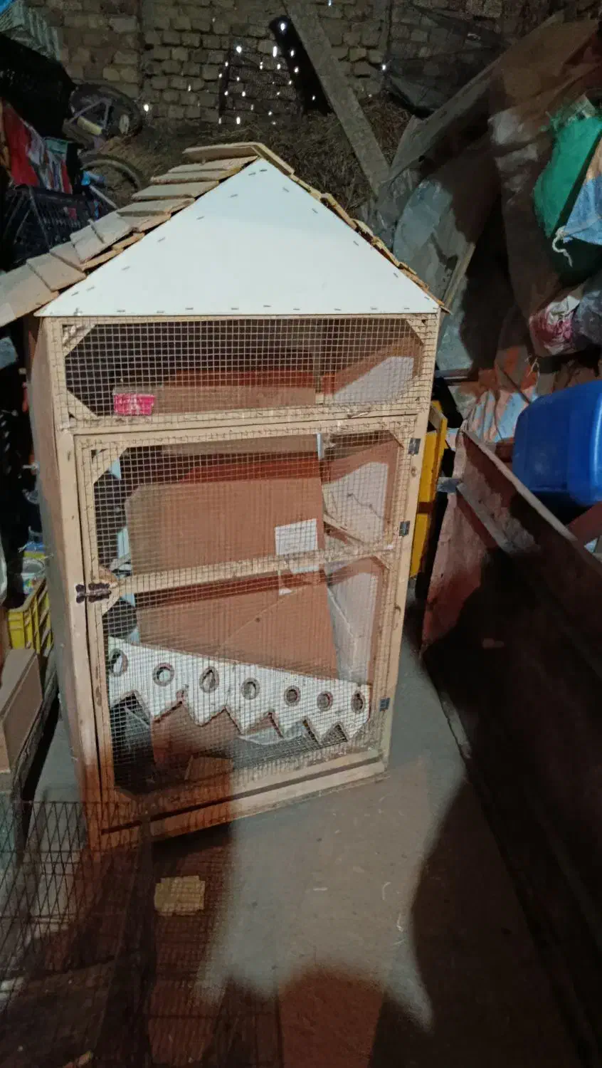 قفس|لوازم جانبی حیوانات|قزوین, |دیوار