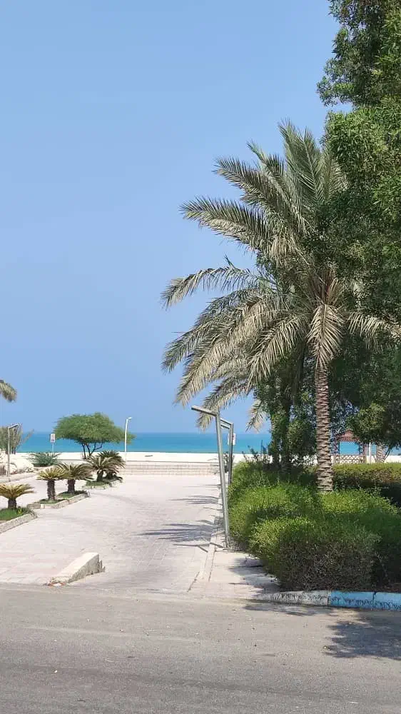 فروش یکخواب مجتمع استخر دار( صادق کریمی)|فروش آپارتمان|کیش, |دیوار